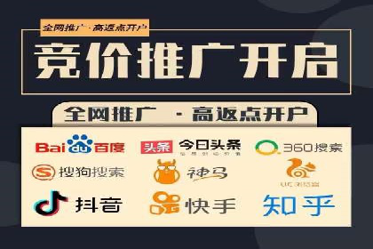 搜索开户返点政策下的成功案例分析